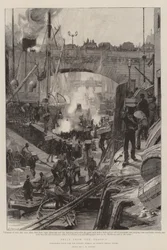 Fruta de los trópicos